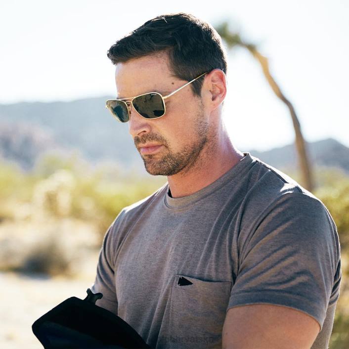 Randolph mat crna i američka siva uljez nepolarizirana staklena leća 8NR6141